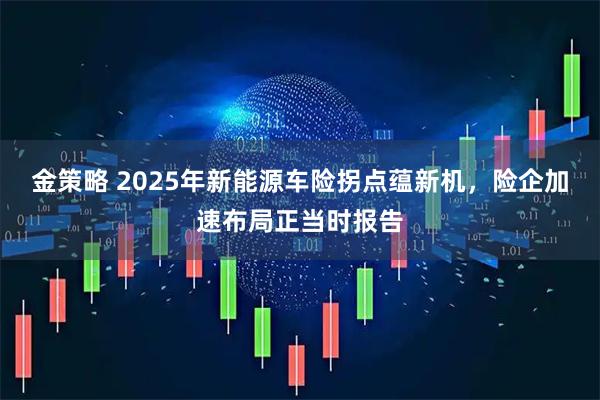 金策略 2025年新能源车险拐点蕴新机，险企加速布局正当时报告